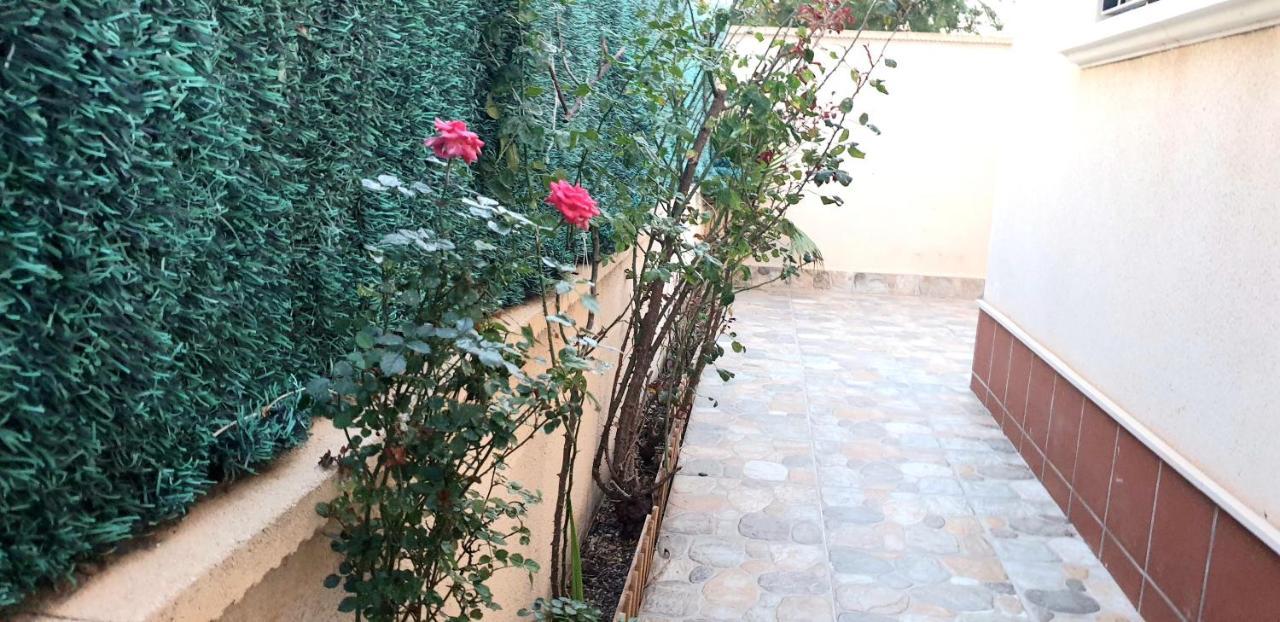 Arco Mediterraneo Chalet Independiente تورّيفيِخا المظهر الخارجي الصورة